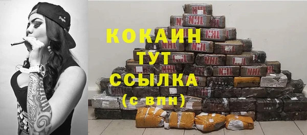 ГАЛЛЮЦИНОГЕННЫЕ ГРИБЫ Сосновый Бор